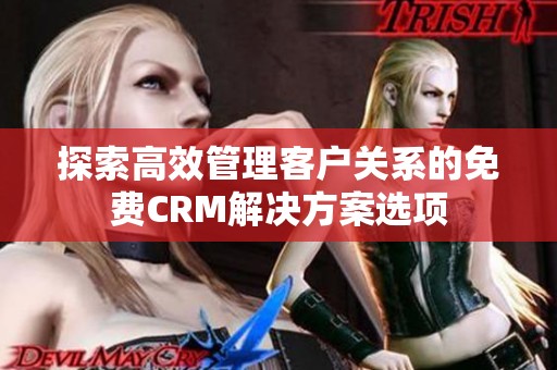 探索高效管理客户关系的免费CRM解决方案选项