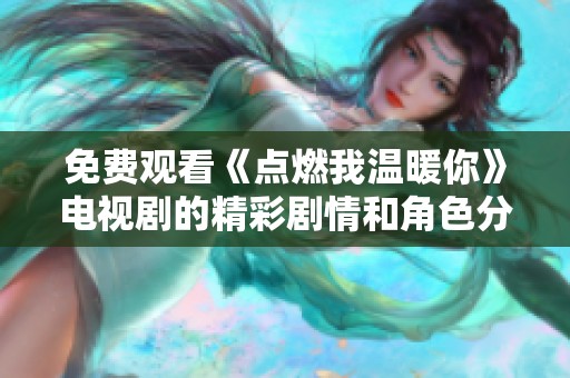 免费观看《点燃我温暖你》电视剧的精彩剧情和角色分析