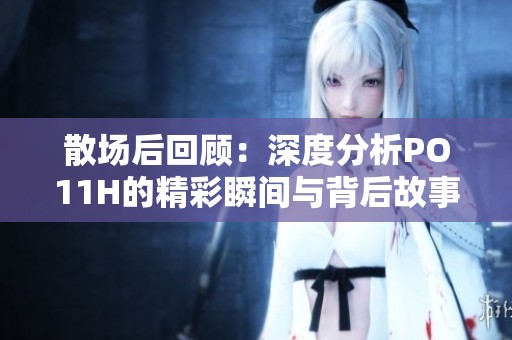 散场后回顾：深度分析PO11H的精彩瞬间与背后故事