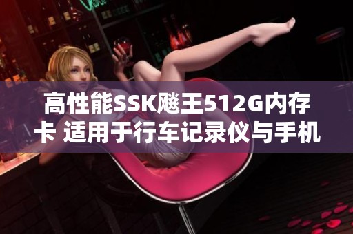 高性能SSK飚王512G内存卡 适用于行车记录仪与手机存储