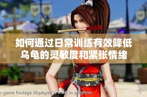 如何通过日常训练有效降低乌龟的灵敏度和紧张情绪