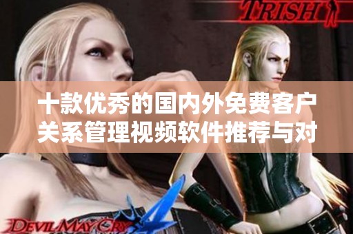十款优秀的国内外免费客户关系管理视频软件推荐与对比
