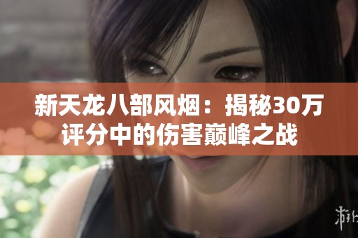 新天龙八部风烟：揭秘30万评分中的伤害巅峰之战