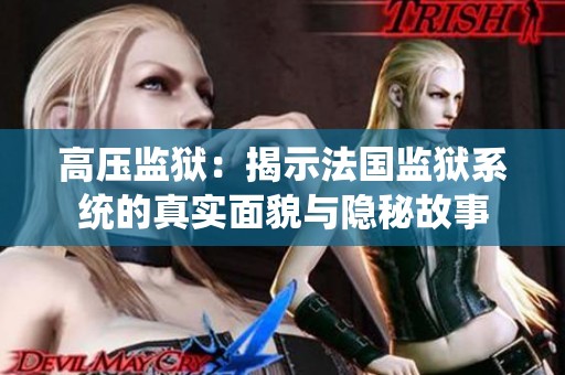 高压监狱：揭示法国监狱系统的真实面貌与隐秘故事