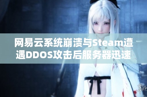 网易云系统崩溃与Steam遭遇DDOS攻击后服务器迅速恢复的背后分析