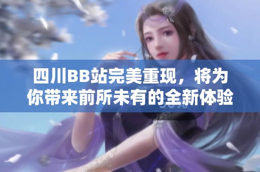 四川BB站完美重现，将为你带来前所未有的全新体验