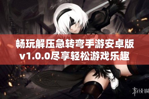 畅玩解压急转弯手游安卓版v1.0.0尽享轻松游戏乐趣