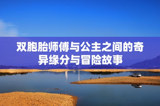 双胞胎师傅与公主之间的奇异缘分与冒险故事