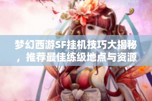 梦幻西游SF挂机技巧大揭秘，推荐最佳练级地点与资源获取方式