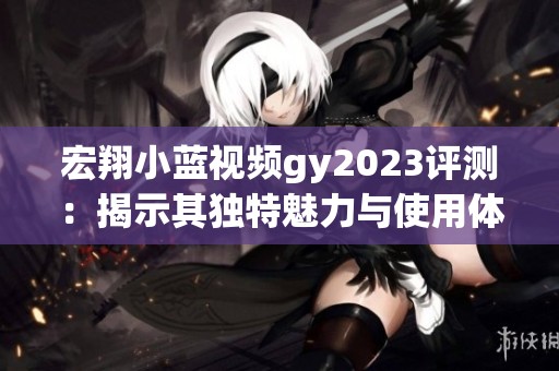 宏翔小蓝视频gy2023评测：揭示其独特魅力与使用体验