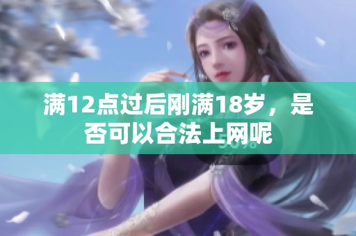 满12点过后刚满18岁，是否可以合法上网呢