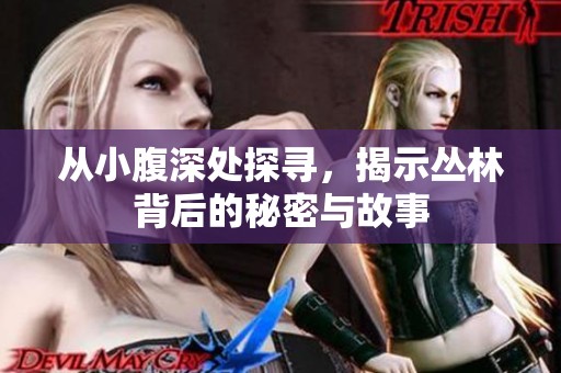 从小腹深处探寻，揭示丛林背后的秘密与故事
