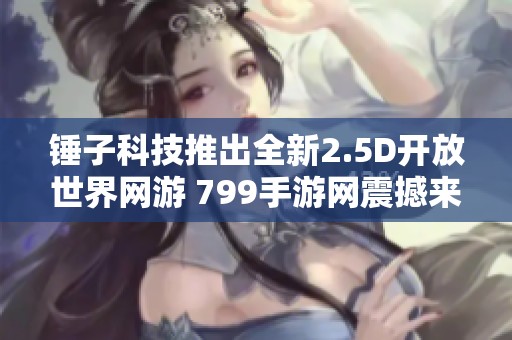 锤子科技推出全新2.5D开放世界网游 799手游网震撼来袭
