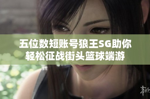 五位数短账号狼王SG助你轻松征战街头篮球端游