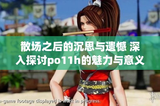 散场之后的沉思与遗憾 深入探讨po11h的魅力与意义