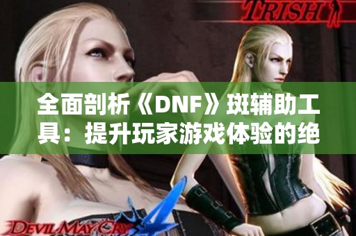 全面剖析《DNF》斑辅助工具：提升玩家游戏体验的绝佳利器