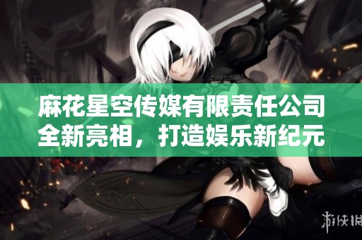 麻花星空传媒有限责任公司全新亮相，打造娱乐新纪元