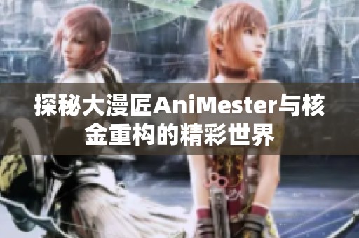 探秘大漫匠AniMester与核金重构的精彩世界