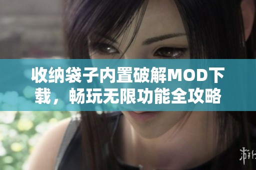收纳袋子内置破解MOD下载，畅玩无限功能全攻略