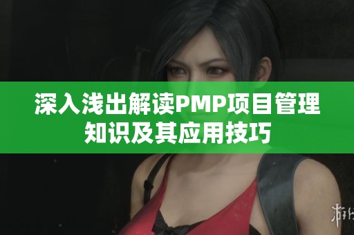 深入浅出解读PMP项目管理知识及其应用技巧