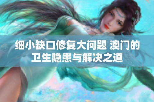 细小缺口修复大问题 澳门的卫生隐患与解决之道