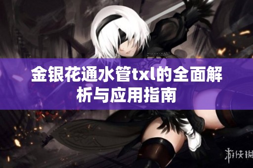 金银花通水管txl的全面解析与应用指南