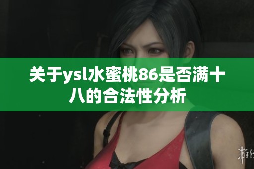 关于ysl水蜜桃86是否满十八的合法性分析