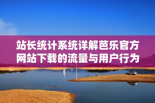 站长统计系统详解芭乐官方网站下载的流量与用户行为分析