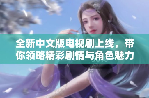 全新中文版电视剧上线，带你领略精彩剧情与角色魅力