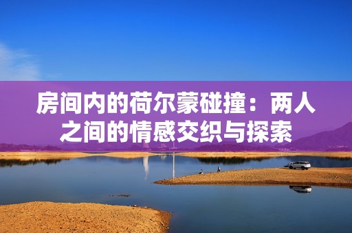 房间内的荷尔蒙碰撞：两人之间的情感交织与探索