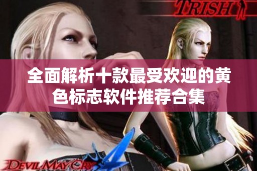 全面解析十款最受欢迎的黄色标志软件推荐合集