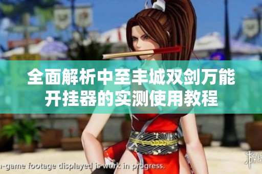 全面解析中至丰城双剑万能开挂器的实测使用教程