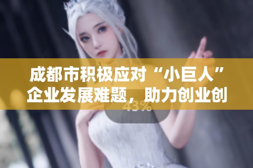 成都市积极应对“小巨人”企业发展难题，助力创业创新