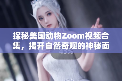 探秘美国动物Zoom视频合集，揭开自然奇观的神秘面纱