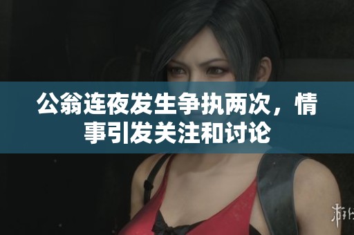 公翁连夜发生争执两次，情事引发关注和讨论