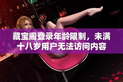 藏宝阁登录年龄限制，未满十八岁用户无法访问内容