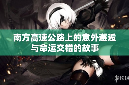 南方高速公路上的意外邂逅与命运交错的故事