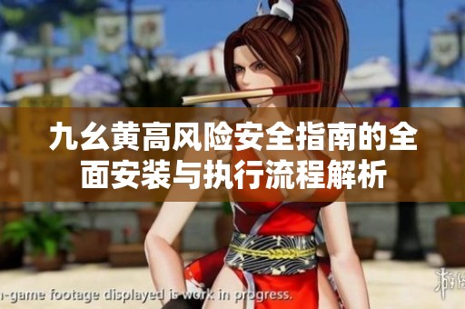 九幺黄高风险安全指南的全面安装与执行流程解析