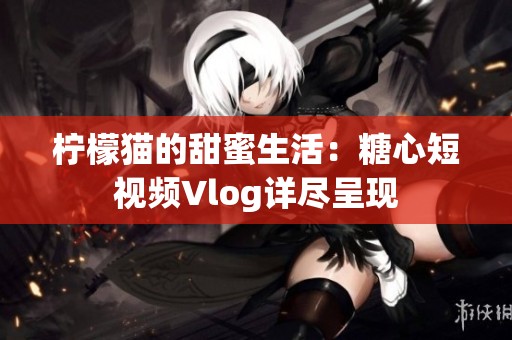 柠檬猫的甜蜜生活：糖心短视频Vlog详尽呈现