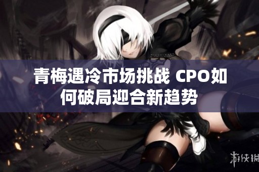青梅遇冷市场挑战 CPO如何破局迎合新趋势
