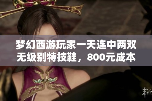 梦幻西游玩家一天连中两双无级别特技鞋，800元成本一发入魂成功
