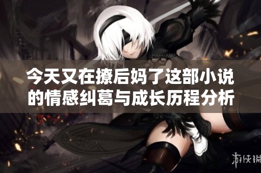 今天又在撩后妈了这部小说的情感纠葛与成长历程分析