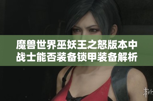 魔兽世界巫妖王之怒版本中战士能否装备锁甲装备解析