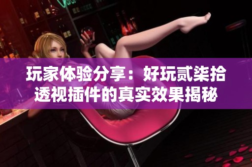 玩家体验分享：好玩贰柒拾透视插件的真实效果揭秘