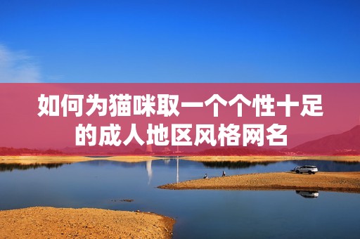 如何为猫咪取一个个性十足的成人地区风格网名