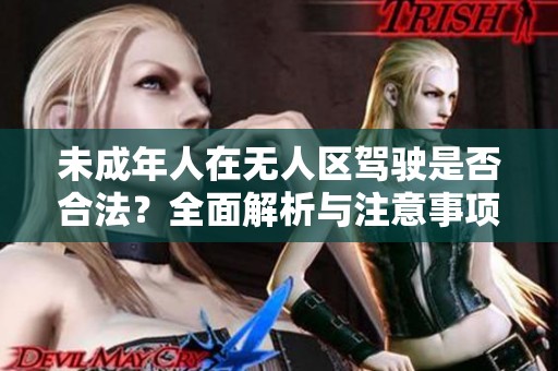 未成年人在无人区驾驶是否合法？全面解析与注意事项