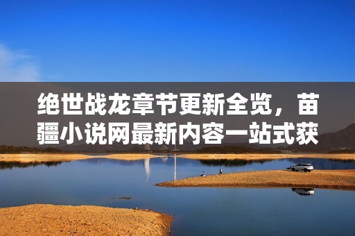 绝世战龙章节更新全览，苗疆小说网最新内容一站式获取
