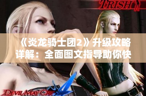 《炎龙骑士团2》升级攻略详解：全面图文指导助你快速成长