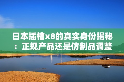 日本插槽x8的真实身份揭秘：正规产品还是仿制品调整标准