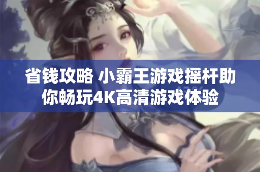 省钱攻略 小霸王游戏摇杆助你畅玩4K高清游戏体验